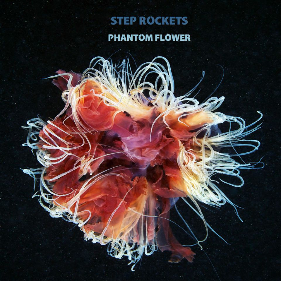 step-rockets-phantom-flower